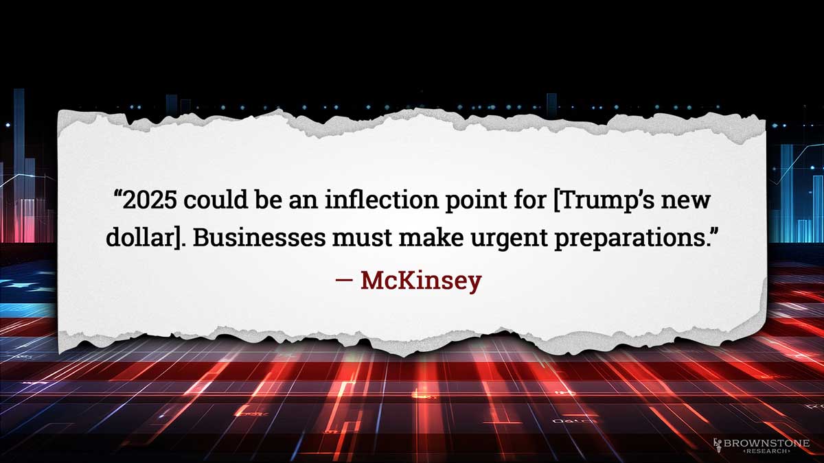 “2025 could be an inflection point for [Trump’s new dollar]. Businesses must make urgent preparations.” — McKinsey.