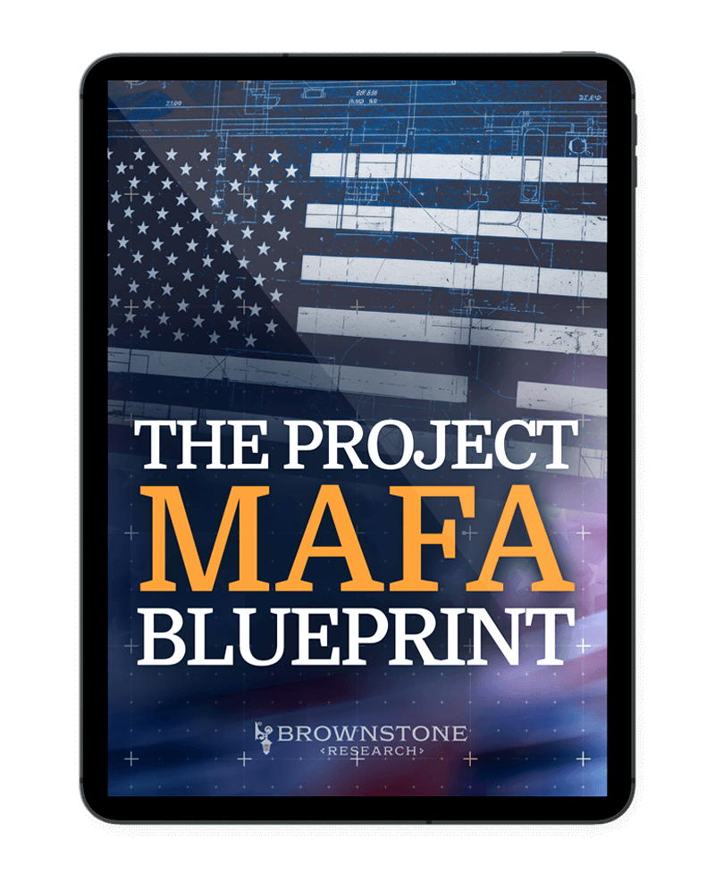 The Project MAFA Blueprint cover